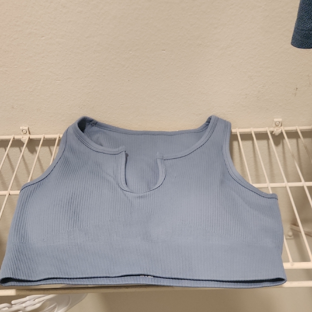 Women's Blue Ribbed Crop Top/Bra Padding